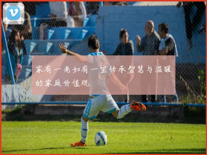 家有一老如有一宝传承智慧与温暖的家庭价值观
